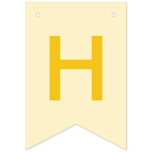 Sunshine wordt één verjaardagsfeestje vlaggetjes (Tweede vlag)