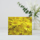 Sunshine Yellow Chrysanthema Briefkaart (Staand voorkant)