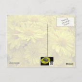 Sunshine Yellow Chrysanthema Briefkaart (Achterkant)