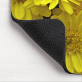 Sunshine Yellow Chrysanthema Muismat (Hoek)