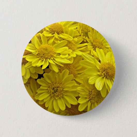 Sunshine Yellow Chrysanthema Ronde Button 5,7 Cm (Voorkant)
