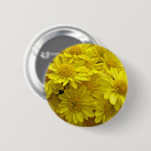 Sunshine Yellow Chrysanthema Ronde Button 5,7 Cm (Voorkant /achterkant)