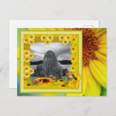 Sunshine Yellow Sunflower Foto Lijst Briefkaart (Voorkant / Achterkant)