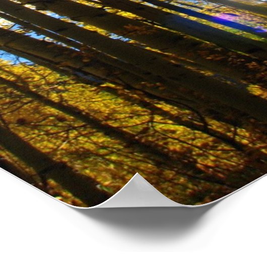 Sunstar Poster (Hoek)