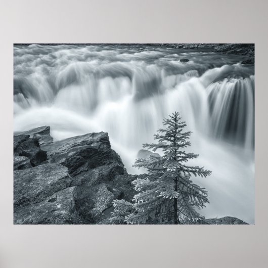 Sunwapta Falls zwart-wit Poster (Voorkant)