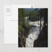 Sunwapta Herfsten in het natuurpark Jasper Briefkaart (Voorkant / Achterkant)