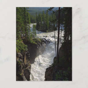 Sunwapta Herfsten in het natuurpark Jasper Briefkaart