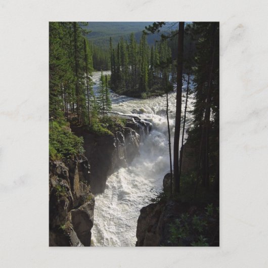 Sunwapta Herfsten in het natuurpark Jasper Briefkaart (Voorkant)