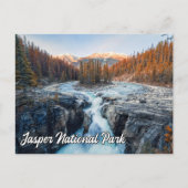 Sunwapta Herfsten, Jasper National Park Briefkaart (Voorkant)