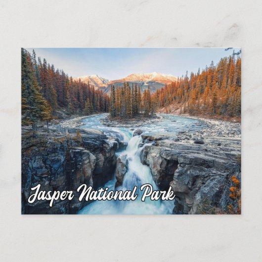 Sunwapta Herfsten, Jasper National Park Briefkaart (Voorkant)