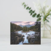 Sunwapta Herfsten | Nationaal Park Jasper Briefkaart (Staand voorkant)