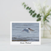 Suomi, Finland natuur foto Briefkaart (Staand voorkant)