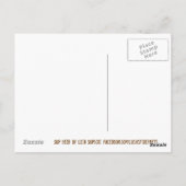 Sup Beer? Funny Humor Kitty Cat Fotografie Briefkaart (Achterkant)