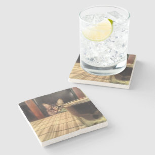 Sup Beer? Funny Humor Kitty Cat Fotografie Stenen Onderzetter