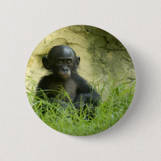 Sup? DArcy Evans Foto Ronde Button 5,7 Cm (Voorkant)