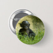 Sup? DArcy Evans Foto Ronde Button 5,7 Cm (Voorkant /achterkant)