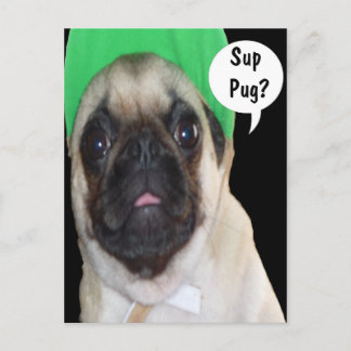 Sup Pug? Briefkaart