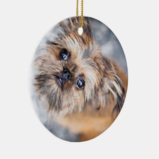 Sup Pup Rup Brussels Griffon Ornament (Rechts)