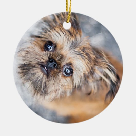 Sup Pup Rup Brussels Griffon Ornament (Voorkant)