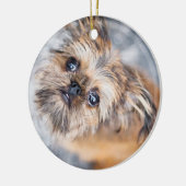 Sup Pup Rup Brussels Griffon Ornament (Links)