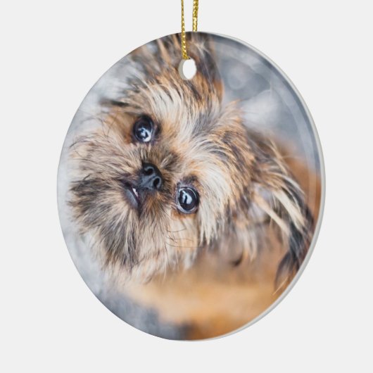 Sup Pup Rup Brussels Griffon Ornament (Links)