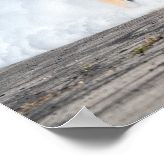 Super Bee Burnout Poster (Hoek)