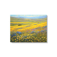 Super Blooms in Californië, Carrizo Plains