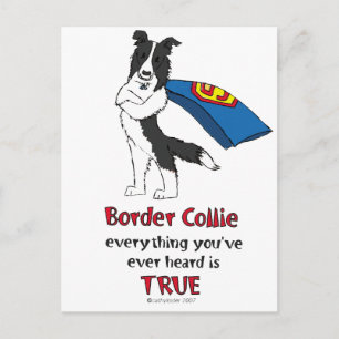 Super Border Collie Black Briefkaart
