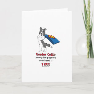 Super Border Collie blauw merle Kaart