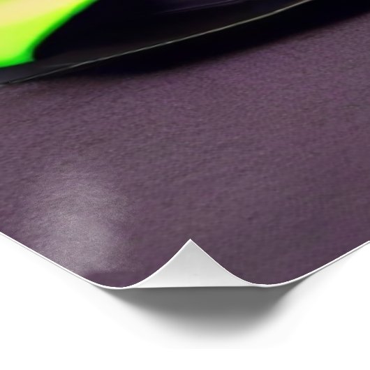 SUPER CAR PERFECT POSTER (Hoek)