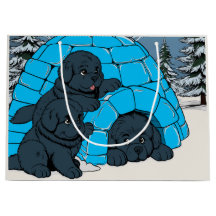 Super Chill Newfoundland puppy