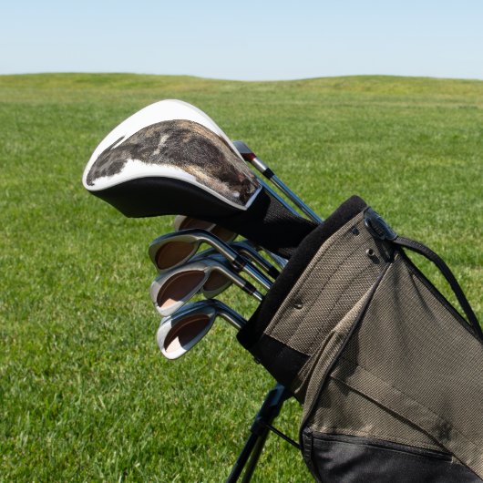 Super Cool Irish Wolfhound Dog Golfheadcover (Insitu)