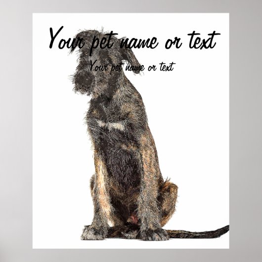 Super Cool Irish Wolfhound Dog Poster (Voorkant)