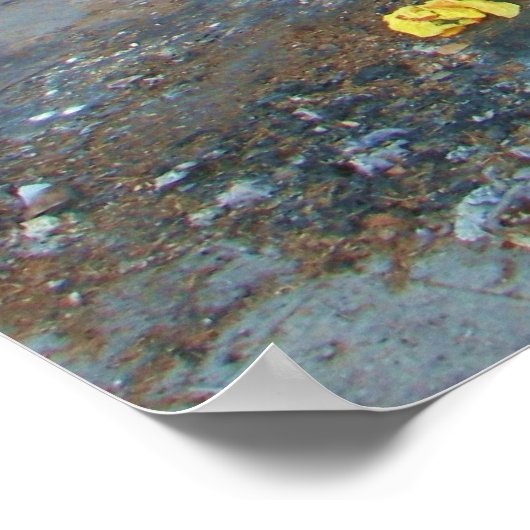 Super Cool Los Angeles Poster! Poster (Hoek)