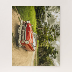 Super Cool  Thunderbird Automobile Legpuzzel