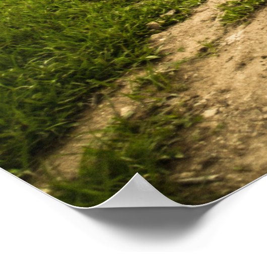 Super Cool  Thunderbird Automobile Poster (Hoek)