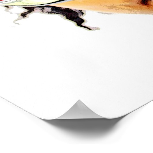 Super Cool Zoom Poster! Poster (Hoek)