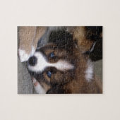 Super Cute Australian Shepherd Puppy Legpuzzel (Horizontaal)
