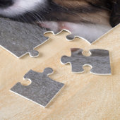 Super Cute Australian Shepherd Puppy Legpuzzel (Zijkant)