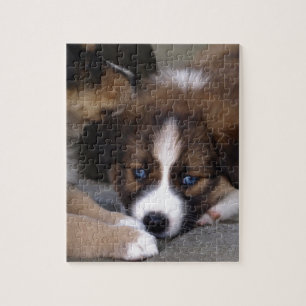 Super Cute Australian Shepherd Puppy Legpuzzel