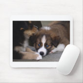 Super Cute Australian Shepherd Puppy Muismat (Met muis)