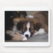 Super Cute Australian Shepherd Puppy Muismat (Voorkant)