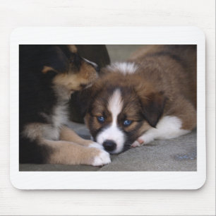 Super Cute Australian Shepherd Puppy Muismat
