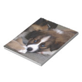 Super Cute Australian Shepherd Puppy Notitieblok (Linkerzijde)
