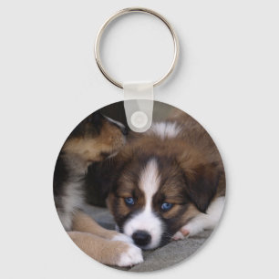 Super Cute Australian Shepherd Puppy Sleutelhanger