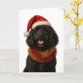 Super cute black Cockerpoo Christmas card Kaart (Gele Bloem)