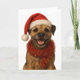 Super cute Border Terrier Christmas card Kaart