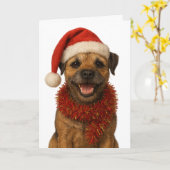 Super cute Border Terrier Christmas card Kaart (Gele Bloem)