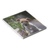 Super Cute Border Terrier-puppy Notitieblok (Schuin)