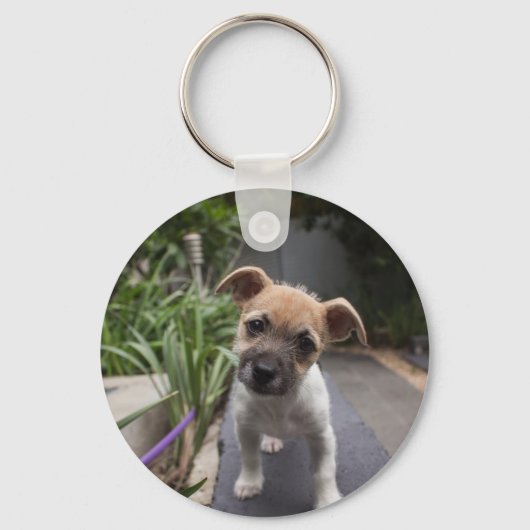 Super Cute Border Terrier-puppy Sleutelhanger (Voorkant)